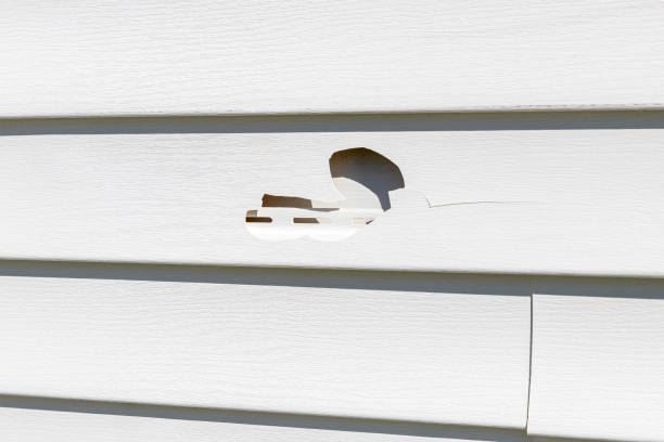 Best Insulated Siding Installation  in Phenix City, AL