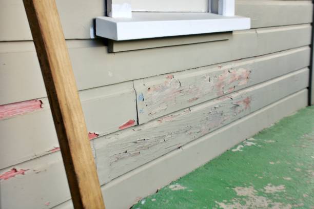 Best Storm Damage Siding Repair  in Phenix City, AL